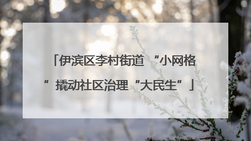 伊滨区李村街道 “小网格”撬动社区治理“大民生”