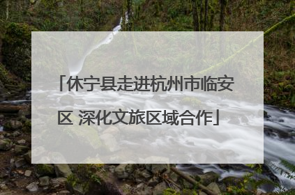 休宁县走进杭州市临安区 深化文旅区域合作