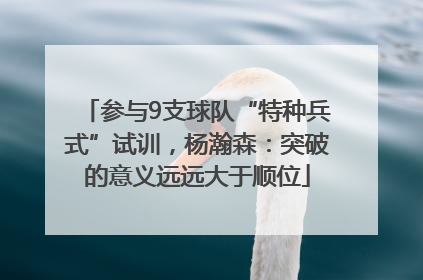 参与9支球队“特种兵式”试训，杨瀚森：突破的意义远远大于顺位