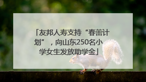 友邦人寿支持“春蕾计划”，向山东250名小学女生发放助学金