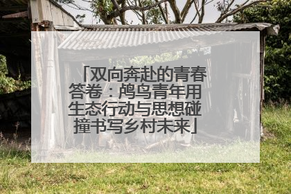 双向奔赴的青春答卷：鸬鸟青年用生态行动与思想碰撞书写乡村未来