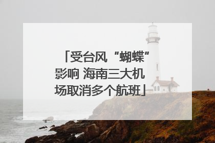 受台风“蝴蝶”影响 海南三大机场取消多个航班