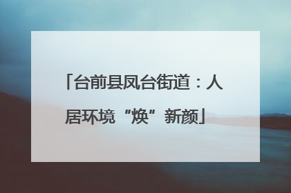 台前县凤台街道：人居环境“焕”新颜