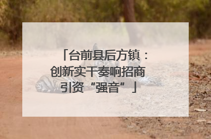 台前县后方镇：创新实干奏响招商引资“强音”