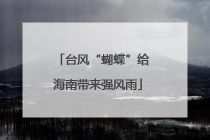 台风“蝴蝶”给海南带来强风雨