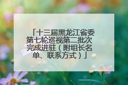 十三届黑龙江省委第七轮巡视第二批次完成进驻（附组长名单、联系方式）