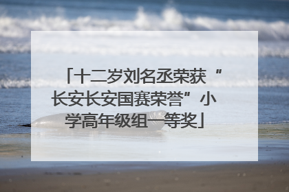 十二岁刘名丞荣获“长安长安国赛荣誉”小学高年级组一等奖