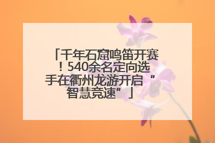 千年石窟鸣笛开赛！540余名定向选手在衢州龙游开启“智慧竞速”