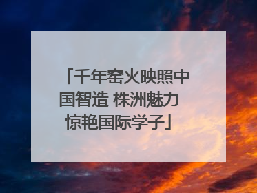 千年窑火映照中国智造 株洲魅力惊艳国际学子