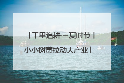 千里追耕·三夏时节丨小小树莓拉动大产业