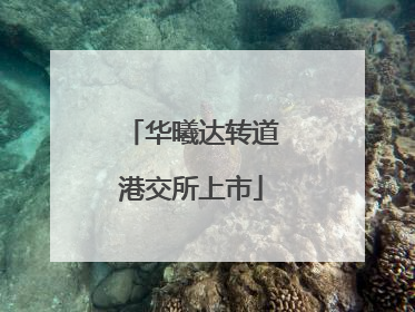华曦达转道港交所上市
