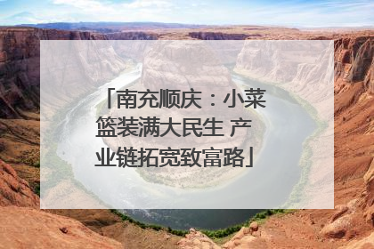 南充顺庆：小菜篮装满大民生 产业链拓宽致富路