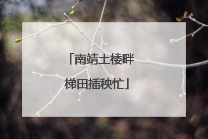 南靖土楼畔 梯田插秧忙
