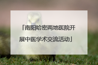 南阳哈密两地医院开展中医学术交流活动