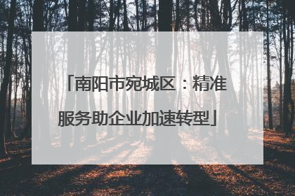南阳市宛城区：精准服务助企业加速转型