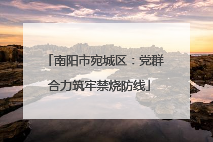 南阳市宛城区：党群合力筑牢禁烧防线