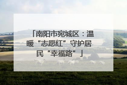 南阳市宛城区：温暖“志愿红”守护居民“幸福路”