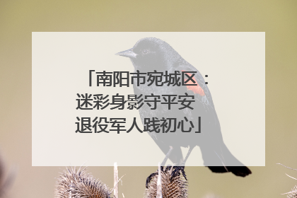 南阳市宛城区：迷彩身影守平安 退役军人践初心