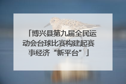 博兴县第九届全民运动会台球比赛构建起赛事经济“新平台”