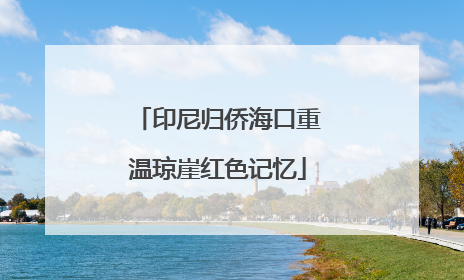 印尼归侨海口重温琼崖红色记忆