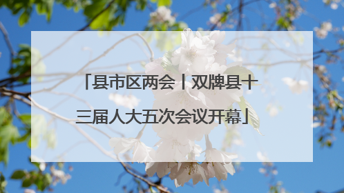 县市区两会丨双牌县十三届人大五次会议开幕