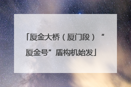 厦金大桥（厦门段）“厦金号”盾构机始发