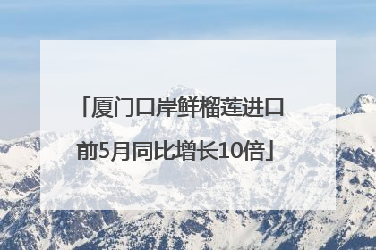 厦门口岸鲜榴莲进口 前5月同比增长10倍