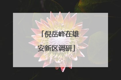 倪岳峰在雄安新区调研