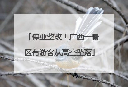 停业整改！广西一景区有游客从高空坠落