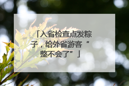 入省检查点发粽子，给外省游客“整不会了”