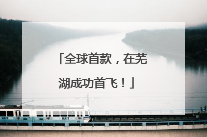 全球首款，在芜湖成功首飞！