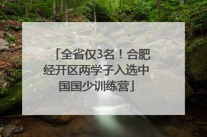 全省仅3名！合肥经开区两学子入选中国国少训练营
