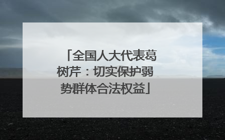 全国人大代表葛树芹：切实保护弱势群体合法权益