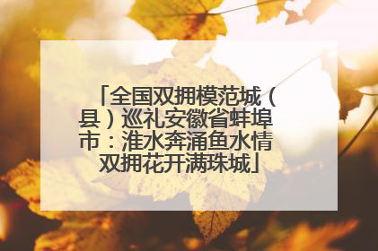 全国双拥模范城（县）巡礼安徽省蚌埠市：淮水奔涌鱼水情 双拥花开满珠城