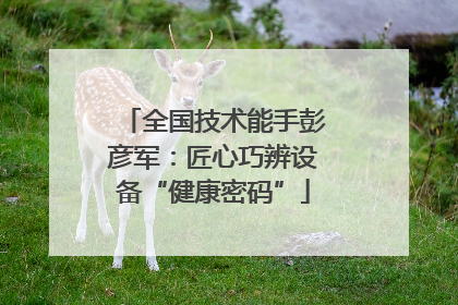 全国技术能手彭彦军：匠心巧辨设备“健康密码”