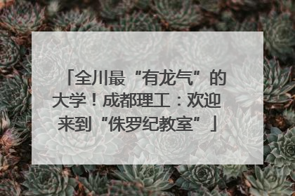 全川最“有龙气”的大学！成都理工：欢迎来到“侏罗纪教室”