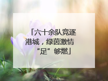 六十余队竞逐港城，绿茵激情“足”够燃