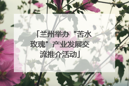 兰州举办“苦水玫瑰”产业发展交流推介活动