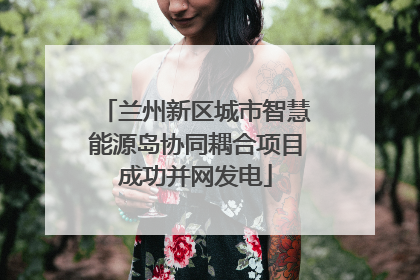 兰州新区城市智慧能源岛协同耦合项目成功并网发电