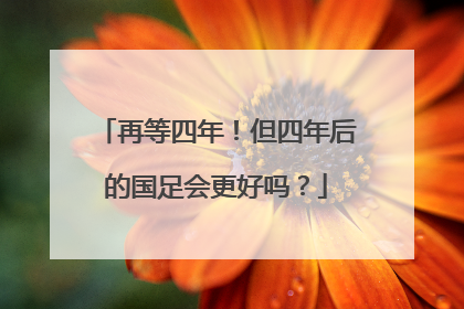 再等四年！但四年后的国足会更好吗？