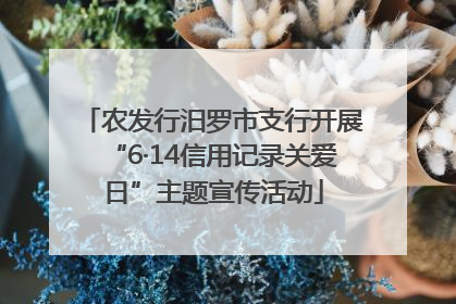 农发行汨罗市支行开展“6·14信用记录关爱日”主题宣传活动
