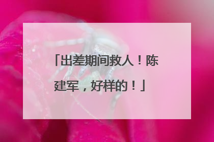 出差期间救人！陈建军，好样的！