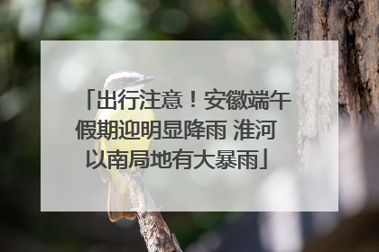 出行注意！安徽端午假期迎明显降雨 淮河以南局地有大暴雨