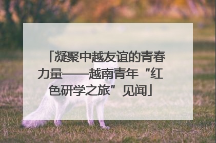 凝聚中越友谊的青春力量——越南青年“红色研学之旅”见闻