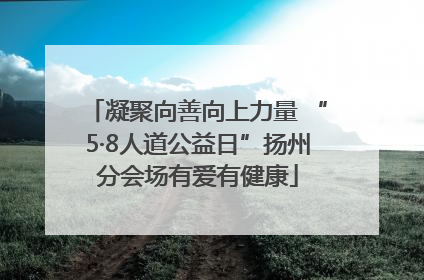 凝聚向善向上力量 “5·8人道公益日”扬州分会场有爱有健康