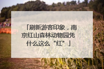 刷新游客印象，南京红山森林动物园凭什么这么“红”