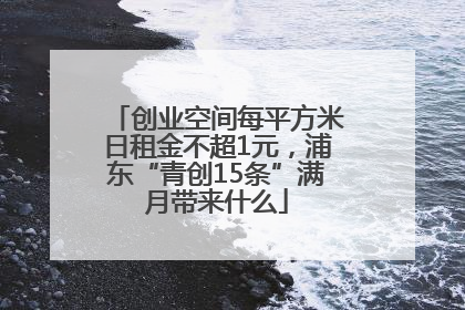 创业空间每平方米日租金不超1元，浦东“青创15条”满月带来什么