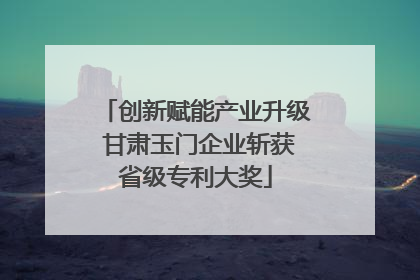 创新赋能产业升级 甘肃玉门企业斩获省级专利大奖