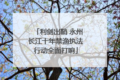 利剑出鞘 永州长江十年禁渔执法行动全面打响