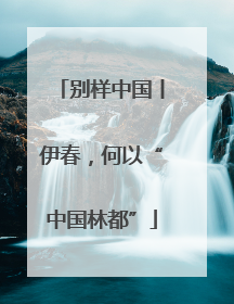 别样中国丨伊春，何以“中国林都”